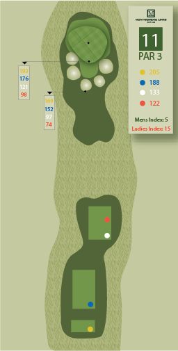 Hole1ZoomOutImage